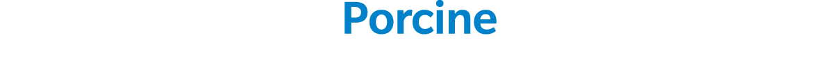 Porcine