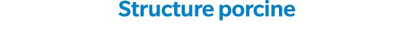 Structure porcine