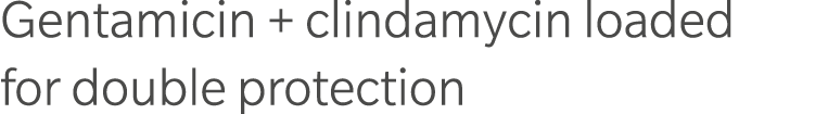 Gentamicin + clindamycin loaded for double protection 