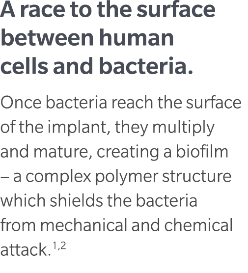 A race to the surface between human cells and bacteria. Once bacteria reach the surface of the implant, they multiply...