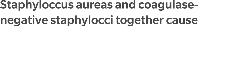 Staphyloccus aureas and coagulase negative staphylocci together cause