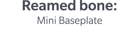 Reamed bone: Mini Baseplate