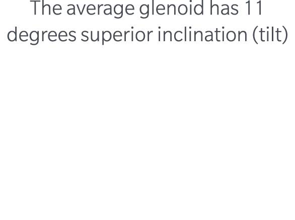 The average glenoid has 11 degrees superior inclination (tilt)