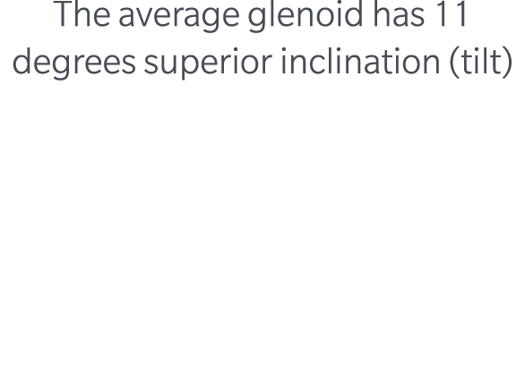 The average glenoid has 11 degrees superior inclination (tilt)
